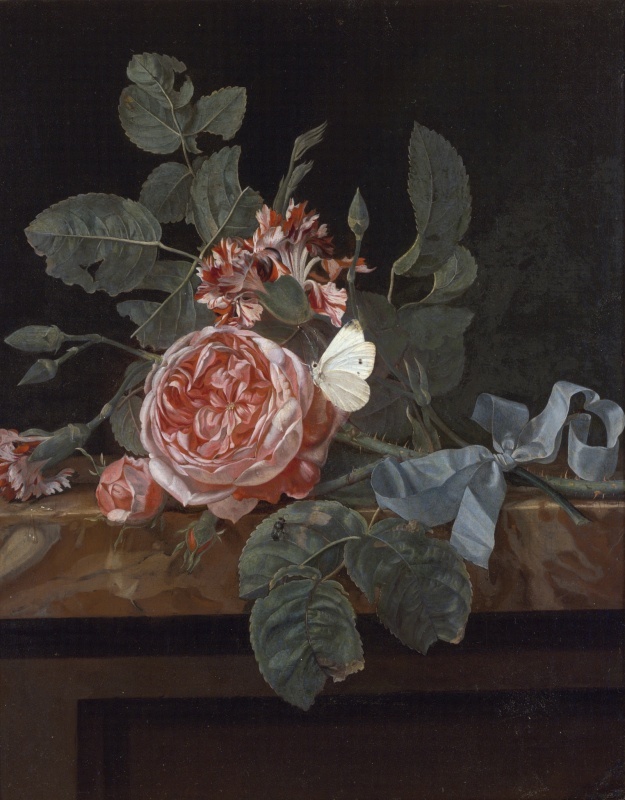 still life one